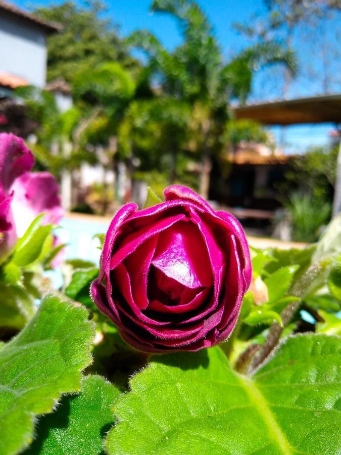Jardim Secreto Guest House Búzios Eksteriør billede